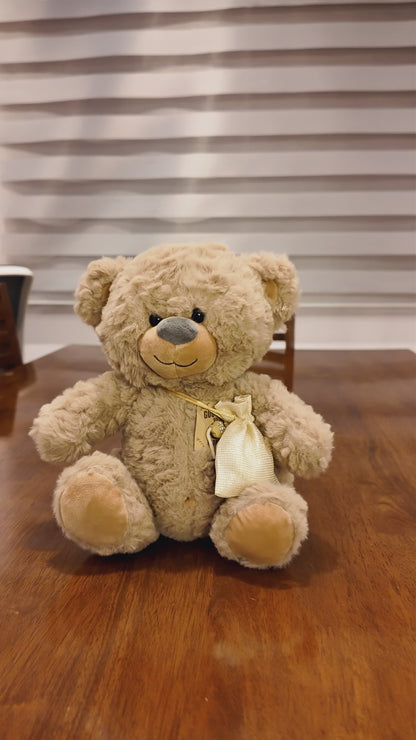 Oso de Peluche con Mensaje Audio Personalizado