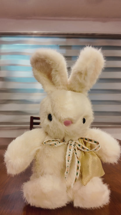 Conejo de Peluche con Mensaje Audio Personalizado